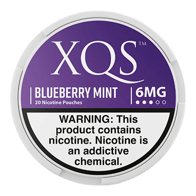 XQS Blueberry Mint 6mg