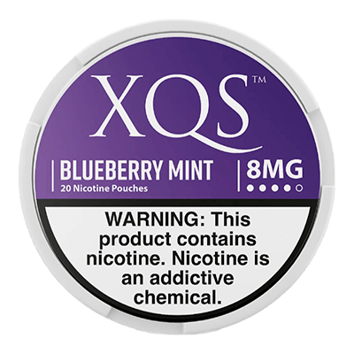 XQS Blueberry Mint 8mg